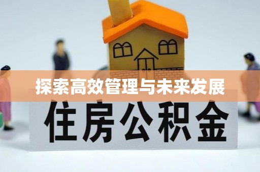抚松探索高效管理与未来发展