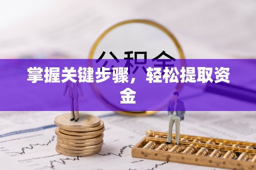 抚松掌握关键步骤，轻松提取资金