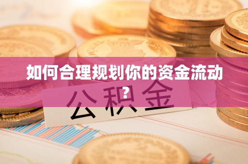 抚松如何合理规划你的资金流动？