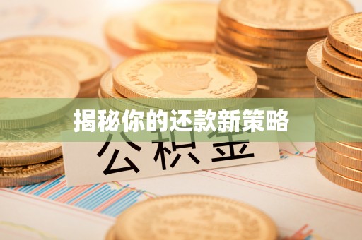 抚松揭秘你的还款新策略