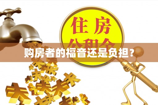 抚松购房者的福音还是负担？