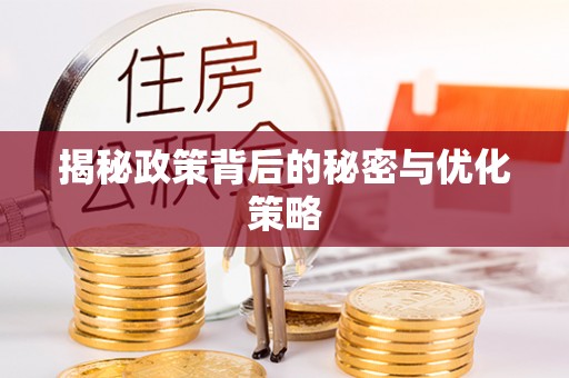 抚松揭秘政策背后的秘密与优化策略