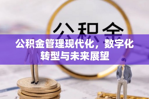 抚松公积金管理现代化，数字化转型与未来展望