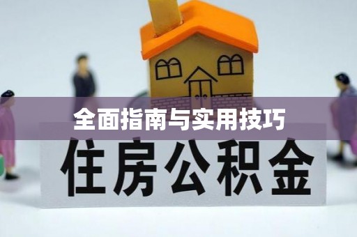 抚松全面指南与实用技巧
