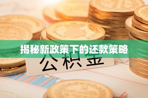 抚松揭秘新政策下的还款策略