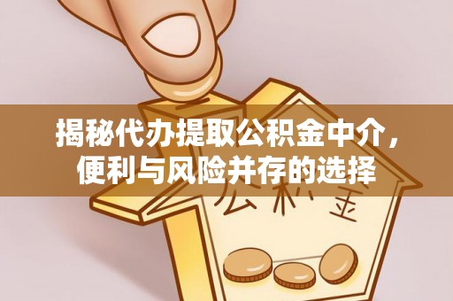 抚松揭秘代办提取公积金中介，便利与风险并存的选择