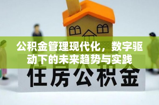抚松公积金管理现代化，数字驱动下的未来趋势与实践
