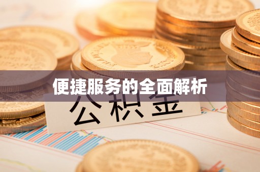 抚松便捷服务的全面解析