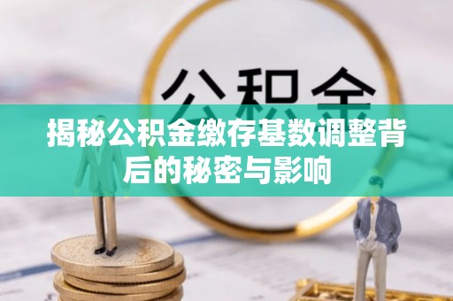 抚松揭秘公积金缴存基数调整背后的秘密与影响