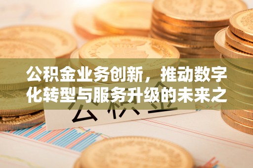 抚松公积金业务创新，推动数字化转型与服务升级的未来之路