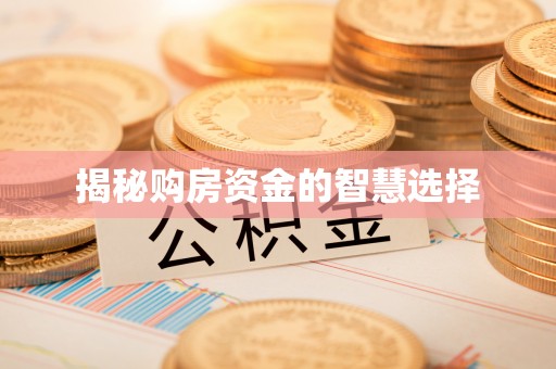 抚松揭秘购房资金的智慧选择