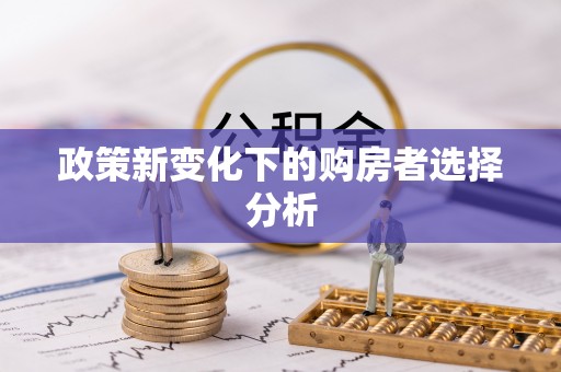 抚松政策新变化下的购房者选择分析