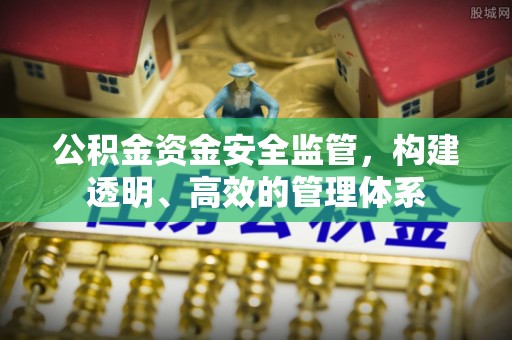 抚松公积金资金安全监管，构建透明、高效的管理体系
