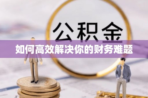 抚松如何高效解决你的财务难题