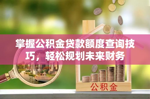 抚松掌握公积金贷款额度查询技巧，轻松规划未来财务