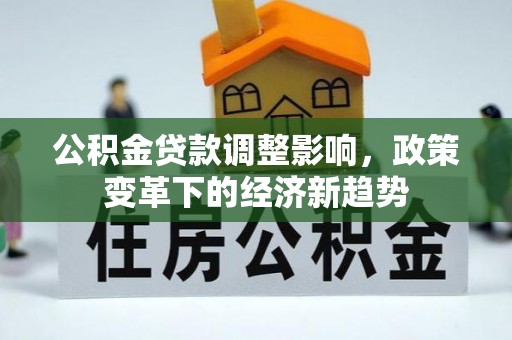 抚松公积金贷款调整影响，政策变革下的经济新趋势