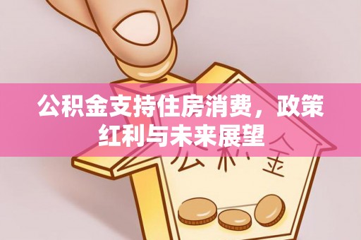 抚松公积金支持住房消费，政策红利与未来展望