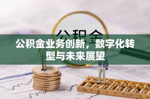 抚松公积金业务创新，数字化转型与未来展望