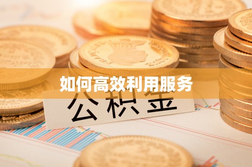 抚松如何高效利用服务