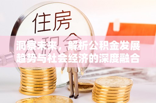 抚松洞察未来，解析公积金发展趋势与社会经济的深度融合