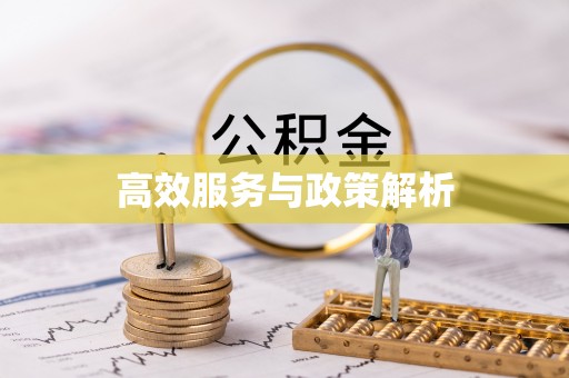 抚松高效服务与政策解析