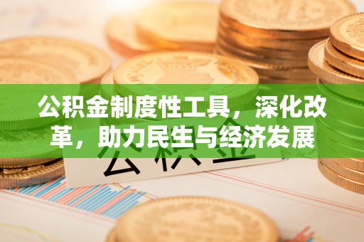 抚松公积金制度性工具，深化改革，助力民生与经济发展