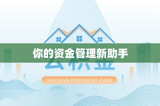 抚松你的资金管理新助手