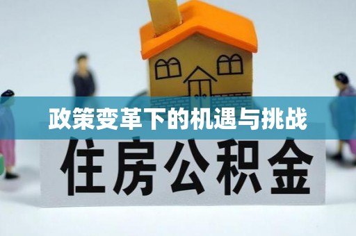 抚松政策变革下的机遇与挑战