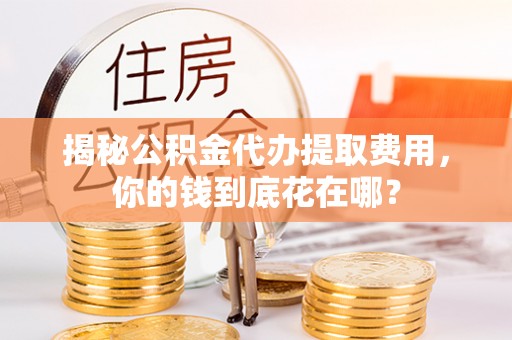 抚松揭秘公积金代办提取费用，你的钱到底花在哪？
