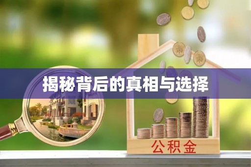 抚松揭秘背后的真相与选择