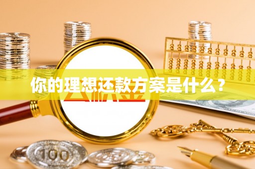 抚松你的理想还款方案是什么？