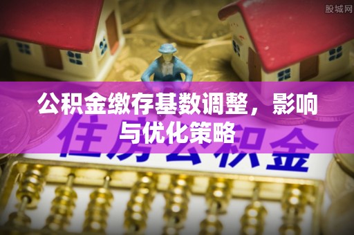 抚松公积金缴存基数调整，影响与优化策略