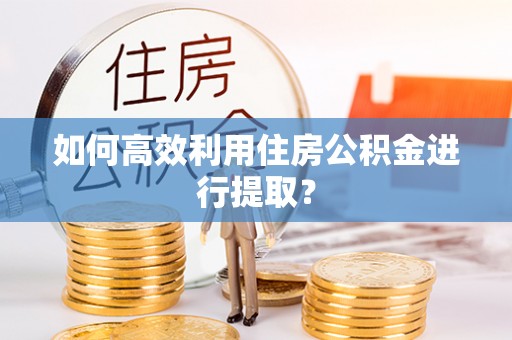 抚松如何高效利用住房公积金进行提取？