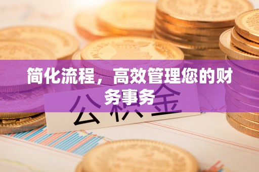 抚松简化流程，高效管理您的财务事务