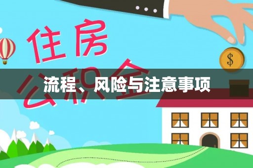抚松流程、风险与注意事项