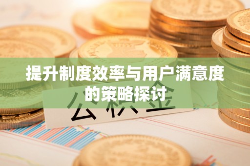 抚松提升制度效率与用户满意度的策略探讨