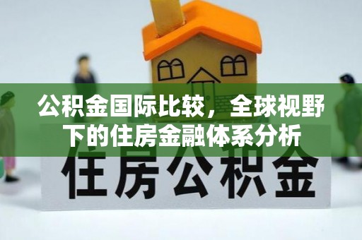 抚松公积金国际比较，全球视野下的住房金融体系分析