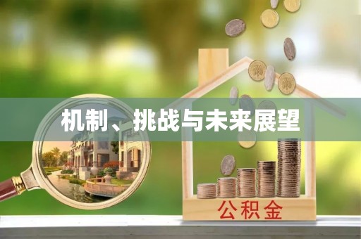 抚松机制、挑战与未来展望